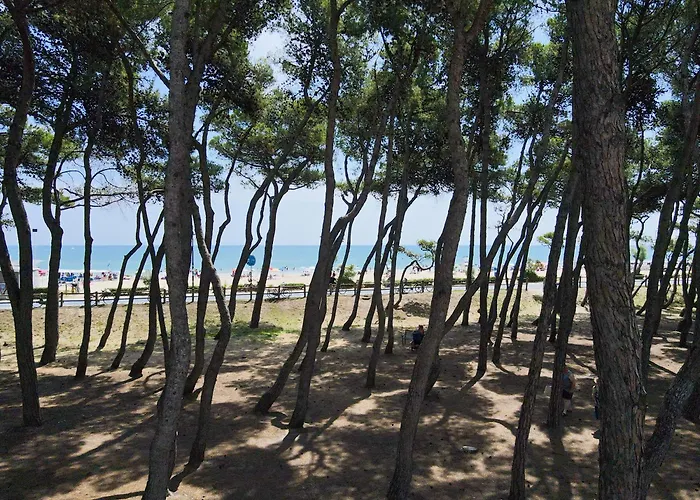 Pineta Mare מלון דירות